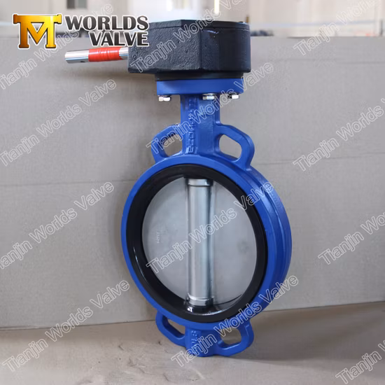 OEM ODM PTFE PFA Coaed Disc CF8 CF8m SS304 SS316 Wcb Bronze API ANSI DIN JIS BS Standard Control Butterfly Valve Gate Valve Check Valve Y Strainer