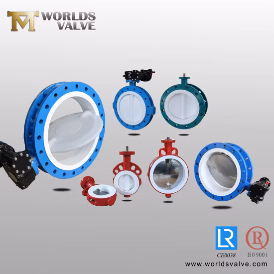 OEM ODM PTFE PFA Coaed Disc CF8 CF8m SS304 SS316 Wcb Bronze API ANSI DIN JIS BS Standard Control Butterfly Valve Gate Valve Check Valve Y Strainer