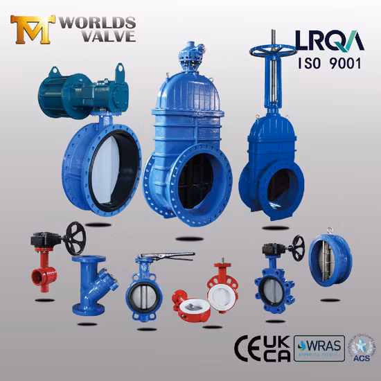 OEM ODM PTFE PFA Coaed Disc CF8 CF8m SS304 SS316 Wcb Bronze API ANSI DIN JIS BS Standard Control Butterfly Valve Gate Valve Check Valve Y Strainer